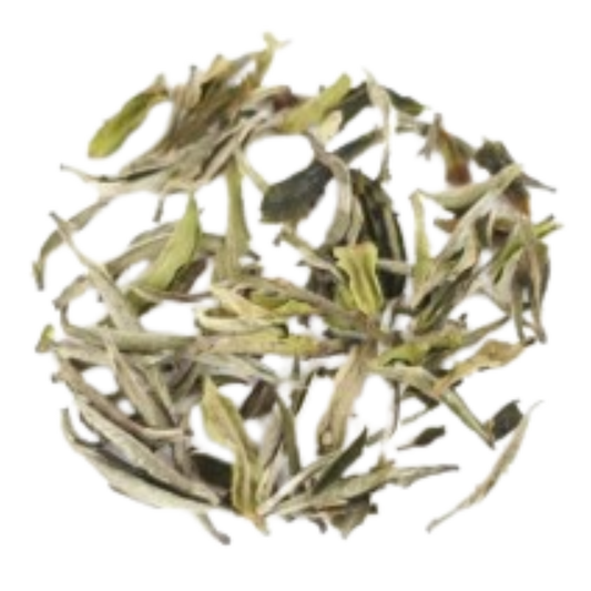 Witte thee Nepal - First Flush Sakhejung Delight