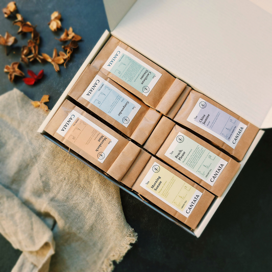 Discover Groene Thee