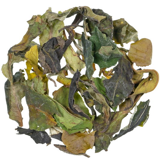 Witte thee China - Pai Mu Tan Special